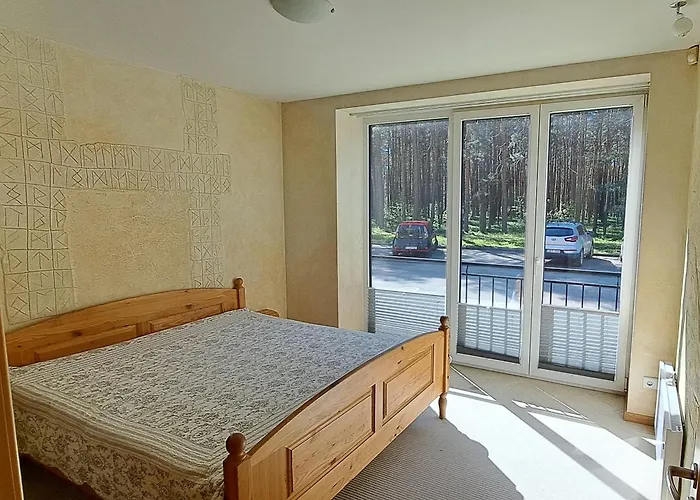 Cozy Seaside * Palanga